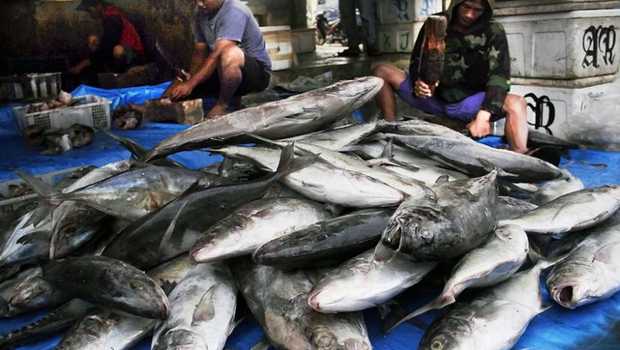 Read more about the article Pakar UNAIR Dukung Upaya KKP Genjot Konsumsi Ikan di Tengah Pandemi