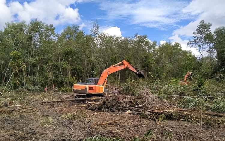 Read more about the article Akibat Hukum Perusahaan Perkebunan yang Tidak Melaksanakan Tanggung Jawab Sosial dan Lingkungan