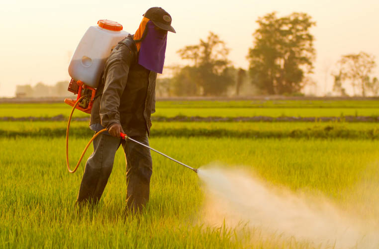 Read more about the article Waspada terhadap Gangguan Kesehatan karena Penggunaan Pestisida