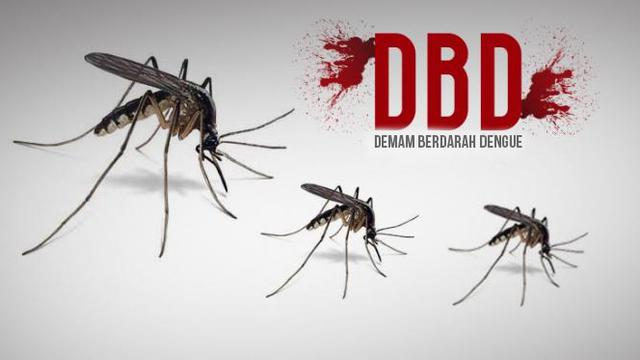 Read more about the article “Dengue dan COVID-19” Beban Ganda bagi Sistem Kesehatan Indonesia