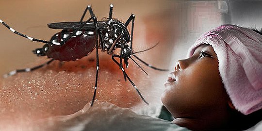Read more about the article Mengidentifikasi Daerah dengan Penularan Demam Berdarah Dengue