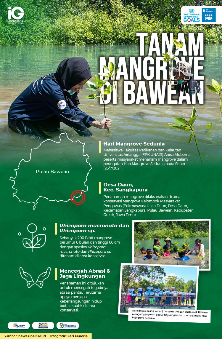 Read more about the article Infografik: Tanam Mangrove di Pulau Bawean