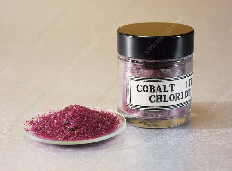 Read more about the article Peran Cobalt (II) Chloride dalam Meningkatkan Ekspresi Hypoxia Inducible Factor-1α dari Sel Punca Mesenkimal Gingiva