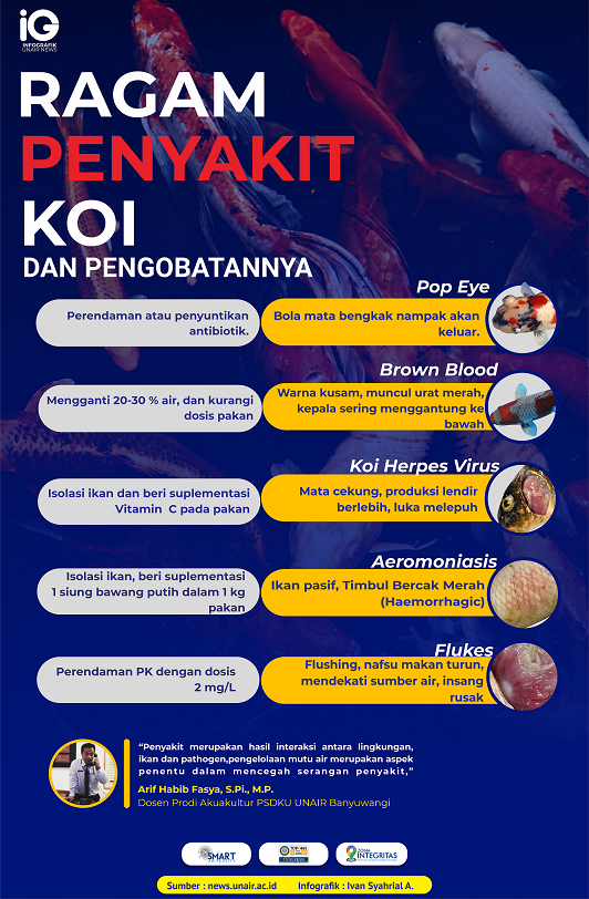 Read more about the article Infografik: Ragam Penyakit pada Ikan Koi