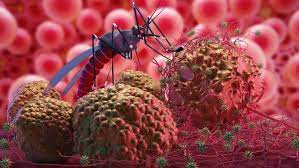 Read more about the article Dolomit, Material Pintar, untuk Meningkatkan Aktivitas Antimalaria Kalus Tempuyung