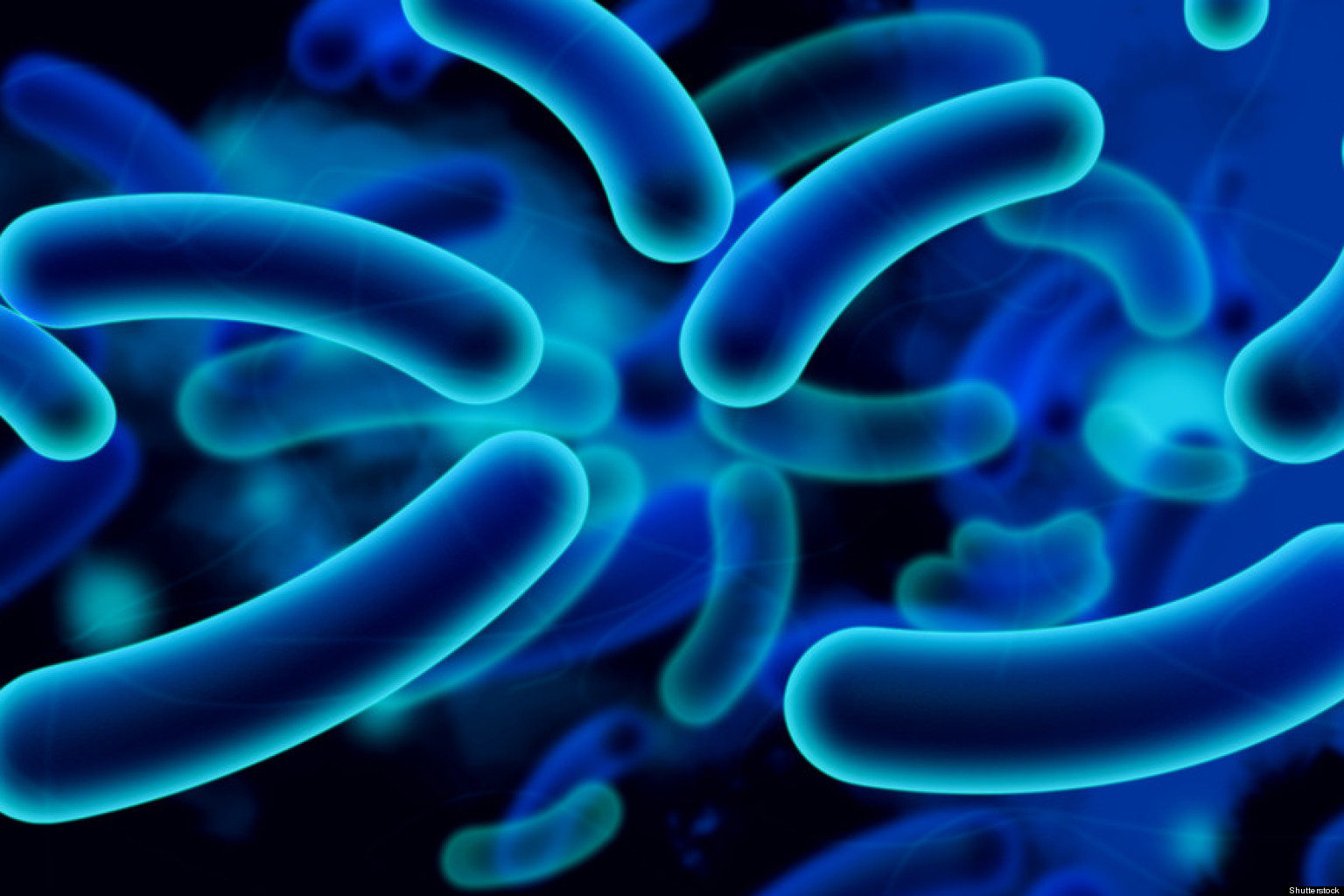Read more about the article Profil Mutasi Genetik gyrA Isolat Klinik Escherichia coli yang Resisten terhadap Levofloksasin