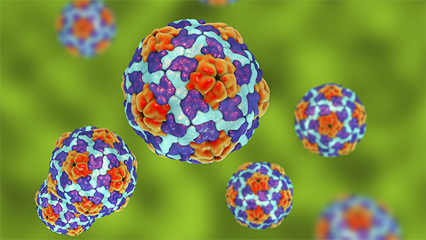 Read more about the article Analisis Deskriptif Distribusi Spatiotemporal dari Wabah Virus Hepatitis A