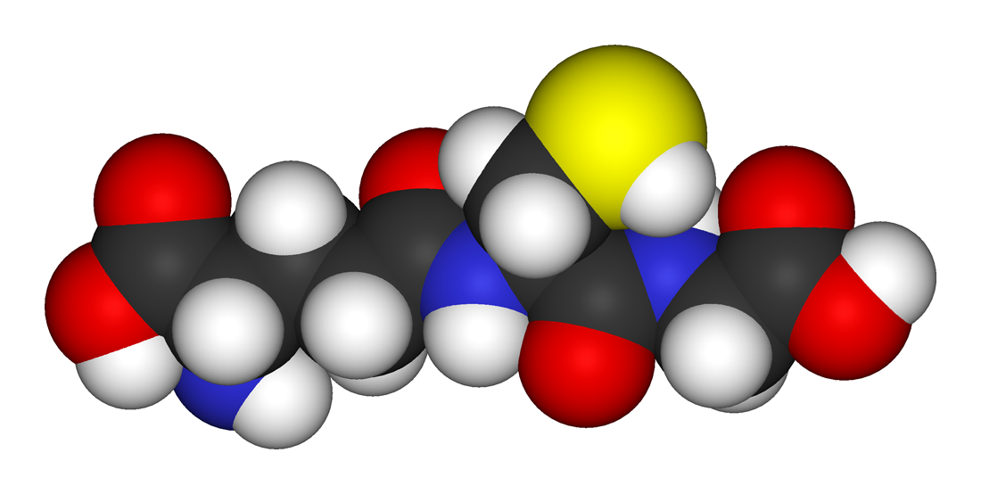 Read more about the article α Tocopherol (Vitamin E) sebagai Antioksidan pada Tikus Putih yang Terpapar Racun Dioxin