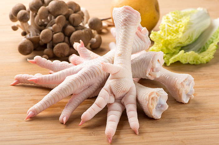 Read more about the article Potensi Penggunaan Cakar Ayam untuk Membantu Proses Penyembuhan Tulang
