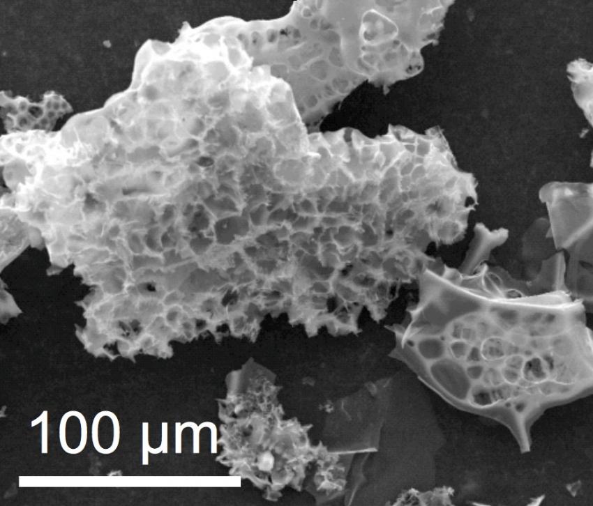 Read more about the article Karbon Nanopori sebagai Bahan Dasar pada Pembuatan Biosensor Elektrometri