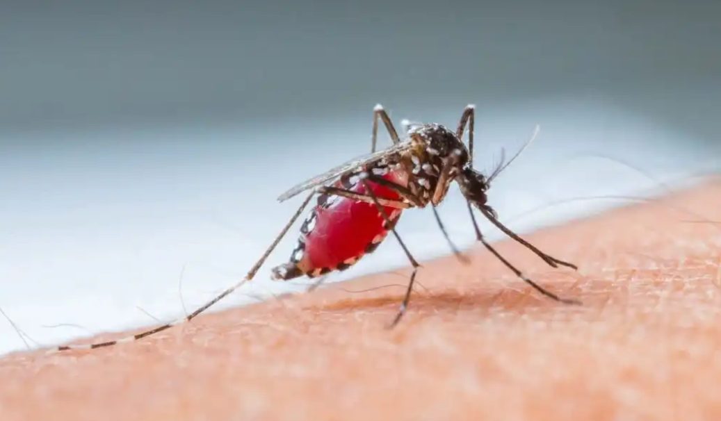 Read more about the article Hubungan Faktor Iklim dengan Demam Berdarah Dengue