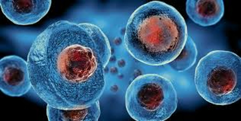 Read more about the article Induced Pluripotent Stem Cell Dari Stem Cell Pulpa Gigi: Aplikasi Masa Depan dalam Perawatan Regeneratif