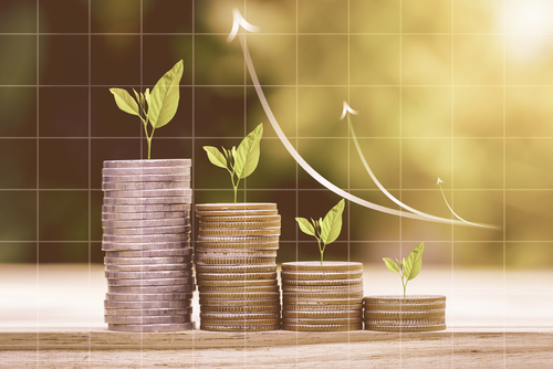 Read more about the article Meningkatkan Keuntungan Investor: Investasi pada Penawaran Umum Perdana Saham Perusahaan