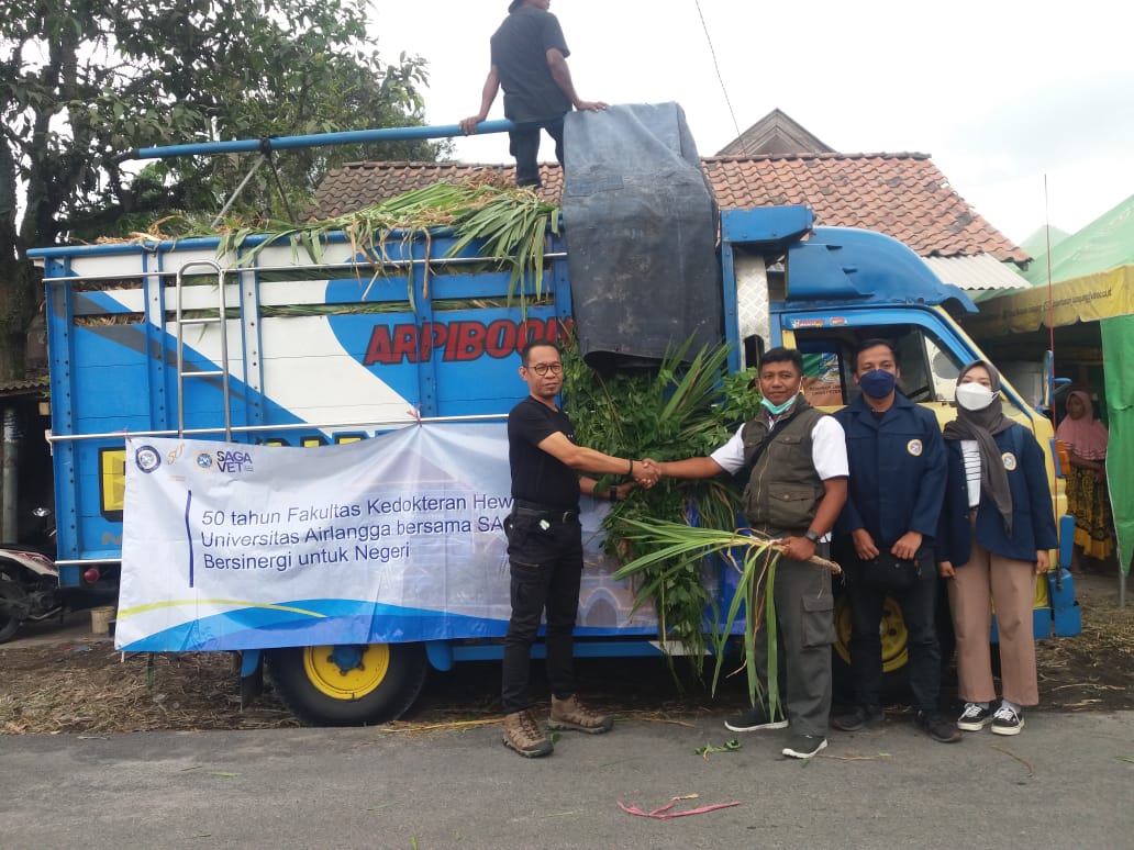 Read more about the article FKH UNAIR Salurkan Bantuan dan Pelayanan Keswan Dampak Erupsi Gunung Semeru