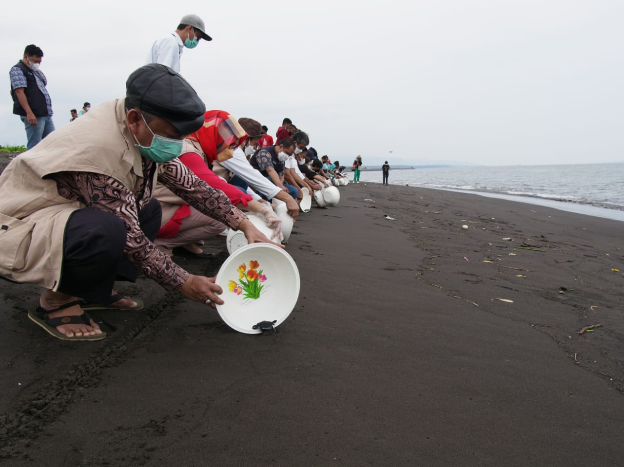 Read more about the article Faculty of Veterinary Medicine Community Service supports community of Santen Island Banyuwangi for Turtle Landing Conservation