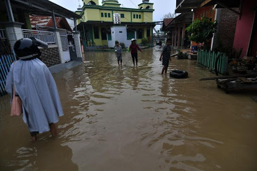Read more about the article Waspada Demam Banjir atau Leptospirosis Saat Musim Hujan