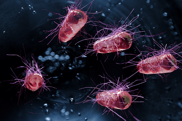 Read more about the article Resistensi Escherichia coli yang Diisolasi dari Pencernaan Clarias batrachus terhadap Antibiotik