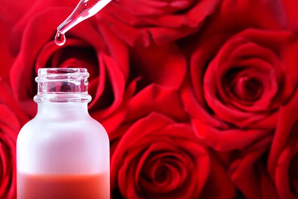 Read more about the article Manfaat Ekstrak Bunga Mawar Merah Terhadap Kadar Lemak Darah pada Diabetes Mellitus