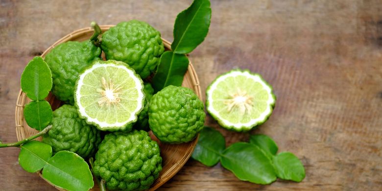 Read more about the article Adding Kaffir Lime (Citrus hystrix) Leaf Essential Oil to Gelatin Coating for Extending the Shelf Life of Red Snapper Fillet