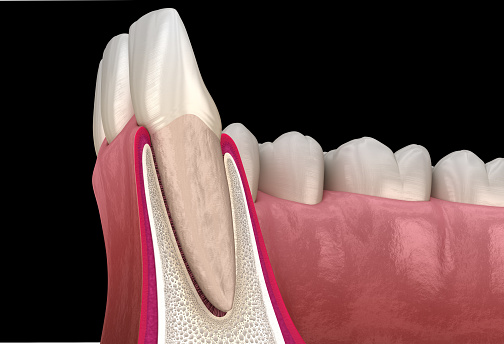 Read more about the article Perubahan Evolusioner Struktur Rongga Mulut dan Morfologi Gigi Manusia dalam Sudut Pandang Antropologi Dental