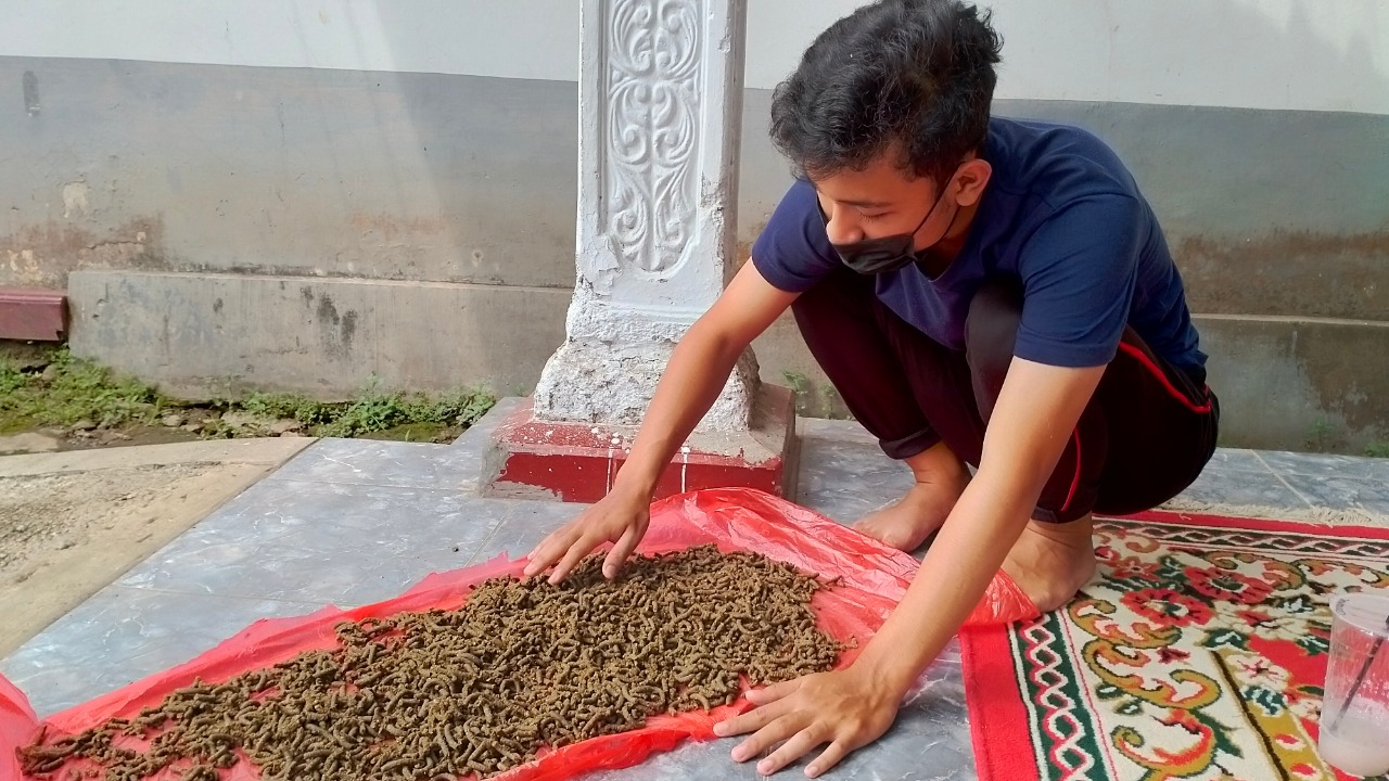 Read more about the article Upgrading Fresh Maggot Menjadi Pelet Kelinci, KKN UNAIR Gelar Sosialisasi di Desa Jambewangi
