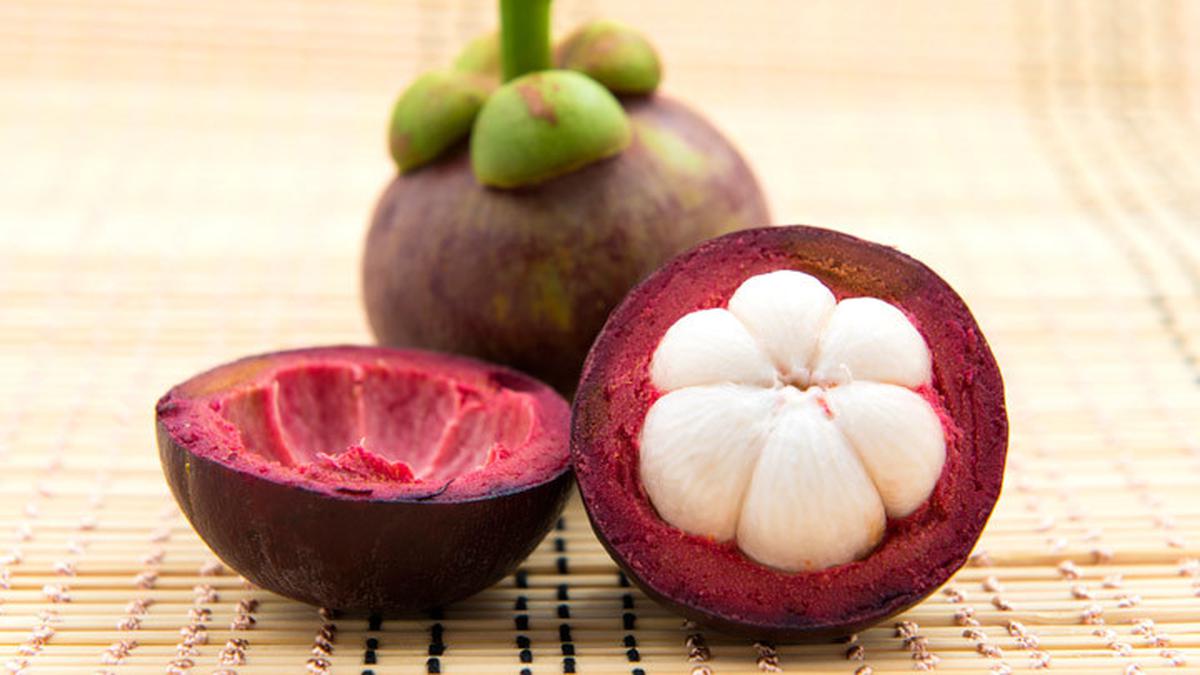 Read more about the article Bioactive compounds from mangosteen as an antiviral agent against SARSCoV-2